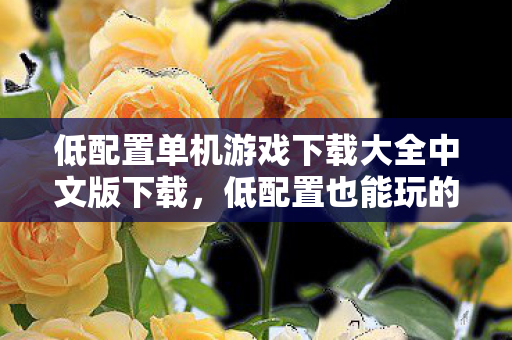低配置单机游戏下载大全中文版下载，低配置也能玩的经典单机游戏中文下载