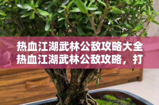 热血江湖武林公敌攻略大全热血江湖武林公敌攻略图片
