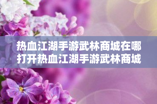 热血江湖手游武林商城在哪打开热血江湖手游武林商城位置解析，热血江湖手游，武林商城位置解析