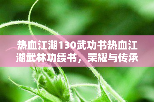 热血江湖130武功书热血江湖武林功绩书，荣耀与传承的见证，热血江湖武林功绩书，荣耀与传承的见证