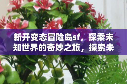 新开变态冒险岛sf,探索未知世界的奇妙之旅,探索未知世界的奇妙之旅,新开变态冒险岛sf等你来挑战 新开变态冒险岛sf,探索未知世界的奇妙之旅,探索未知世界的奇妙之旅,新开变态冒险岛sf等你来挑战