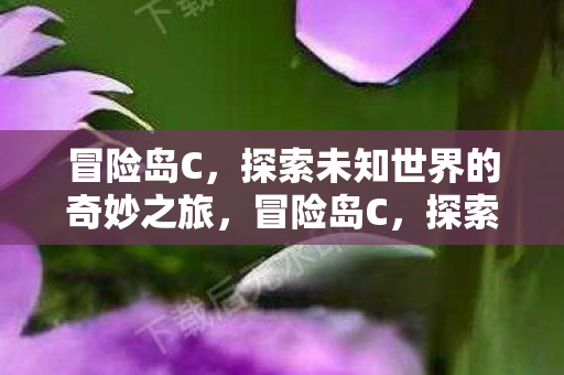 冒险岛C，探索未知世界的奇妙之旅，冒险岛C，探索未知世界的奇妙之旅