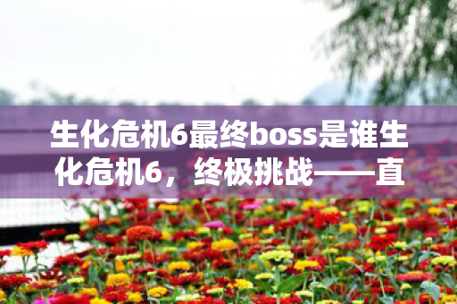 生化危机6最终boss是谁生化危机6，终极挑战——直面最终Boss的震撼体验，生化危机6终极挑战，直面震撼的最终Boss