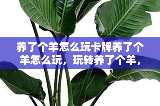 养了个羊怎么玩卡牌养了个羊怎么玩，玩转养了个羊，卡牌策略指南