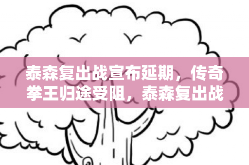 泰森复出战宣布延期，传奇拳王归途受阻，泰森复出战延期，传奇拳王归途受阻