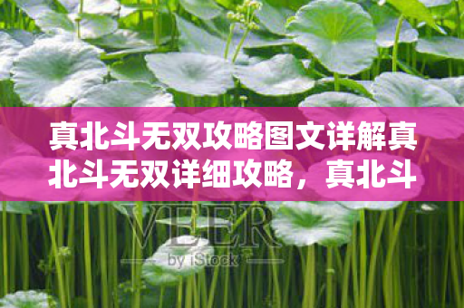 真北斗无双攻略图文详解真北斗无双详细攻略，真北斗无双，全面攻略图文详解