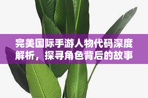 完美国际手游人物代码深度解析图片