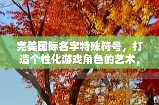 完美国际名字特殊符号，打造个性化游戏角色的艺术，打造个性化游戏角色，完美国际名字特殊符号的艺术