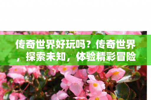 传奇世界好玩吗？传奇世界，探索未知，体验精彩冒险！