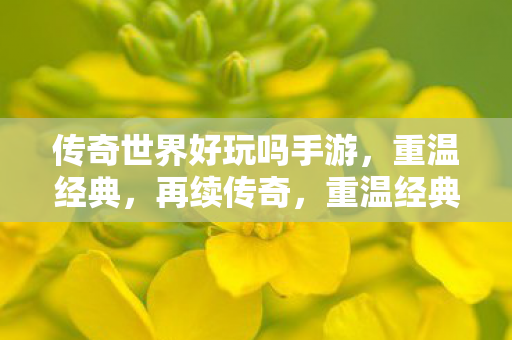 传奇世界好玩吗手游图片