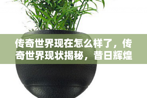 传奇世界现在怎么样了，传奇世界现状揭秘，昔日辉煌今何在？