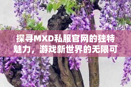 探寻MXD私服官网的独特魅力,游戏新世界的无限可能,MXD私服官网,开启游戏新世界,探索独特魅力 探寻MXD私服官网的独特魅力,游戏新世界的无限可能,MXD私服官网,开启游戏新世界,探索独特魅力