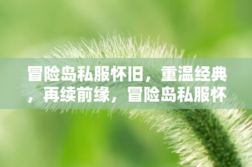 冒险岛私服怀旧，重温经典，再续前缘，冒险岛私服怀旧，重温经典，再续前缘