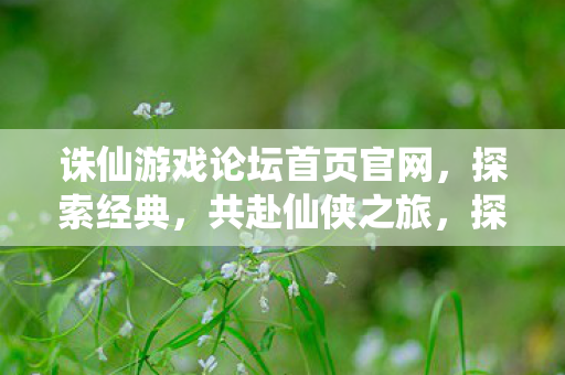 诛仙游戏论坛官网首页面图片