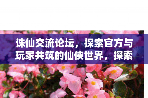 诛仙交流论坛，探索官方与玩家共筑的仙侠世界，探索官方与玩家共筑的仙侠世界，诛仙交流论坛