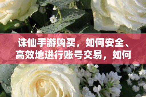 诛仙手游购买，如何安全、高效地进行账号交易，如何安全高效进行诛仙手游账号交易？