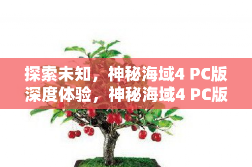 探索未知，神秘海域4 PC版深度体验，神秘海域4 PC版，探索未知，深度冒险体验