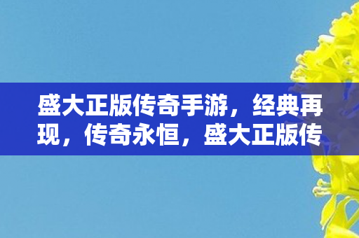 盛大正版传奇手游，经典再现，传奇永恒，盛大正版传奇手游，经典再现，传奇永恒