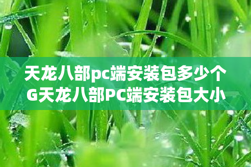 天龙八部pc端安装包多少个G天龙八部PC端安装包大小揭秘,天龙八部PC端安装包大小揭秘 天龙八部pc端安装包多少个G天龙八部PC端安装包大小揭秘,天龙八部PC端安装包大小揭秘