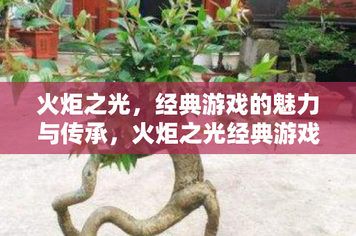 火炬之光,经典游戏的魅力与传承,火炬之光经典游戏魅力与传承的探讨 火炬之光,经典游戏的魅力与传承,火炬之光经典游戏魅力与传承的探讨