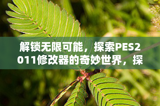 解锁无限可能，探索PES2011修改器的奇妙世界，探索PES2011修改器的奇妙世界，解锁无限可能
