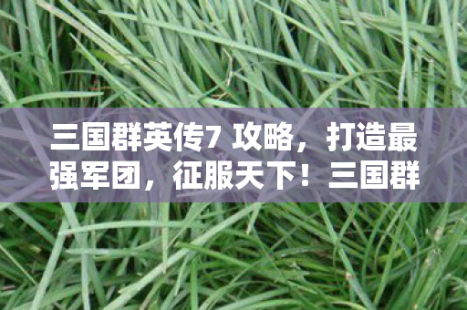 三国群英传7 攻略，打造最强军团，征服天下！三国群英传7攻略，打造最强军团，征服天下！