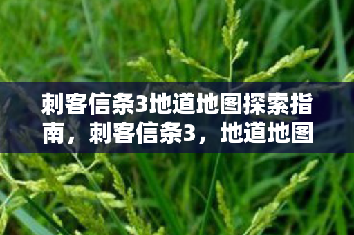 刺客信条3地道地图探索指南，刺客信条3，地道地图探索全攻略