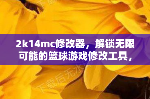 2k14mc修改器，解锁无限可能的篮球游戏修改工具，2k14mc修改器，解锁篮球游戏无限可能的神奇工具