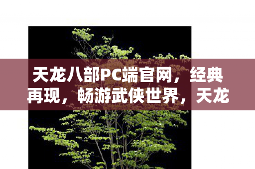 天龙八部PC端官网上线图片