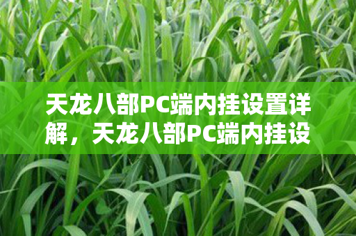 天龙八部PC端内挂设置全解析图片
