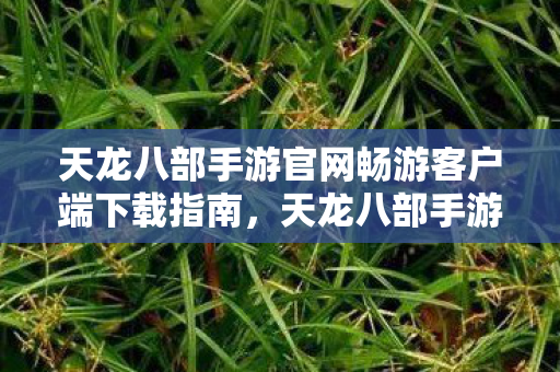天龙八部手游官网畅游客户端下载指南图片