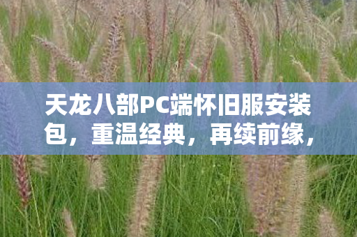 天龙八部PC端怀旧服安装包图片