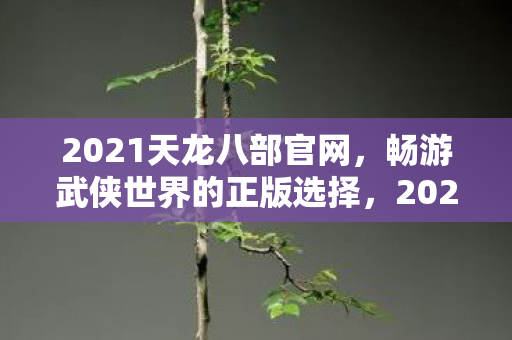 2021天龙八部官网,畅游武侠世界的正版选择,2021天龙八部官网,畅游武侠世界的正版选择 2021天龙八部官网,畅游武侠世界的正版选择,2021天龙八部官网,畅游武侠世界的正版选择