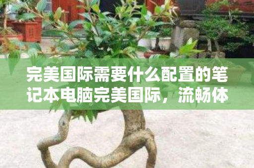 完美国际需要什么配置的笔记本电脑完美国际,流畅体验,你需要什么样的笔记本配置?完美国际流畅体验,你需要什么样的笔记本配置? 完美国际需要什么配置的笔记本电脑完美国际,流畅体验,你需要什么样的笔记本配置?完美国际流畅体验,你需要什么样的笔记本配置?