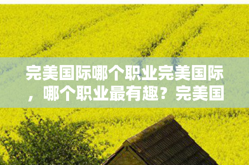 完美国际哪个职业完美国际图片