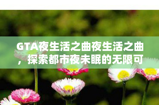 GTA夜生活之曲夜生活之曲，探索都市夜未眠的无限可能，夜生活之曲，探索都市夜未眠的无限可能