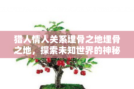 猎人情人关系埋骨之地埋骨之地，探索未知世界的神秘面纱，探索埋骨之地，揭开猎人情人关系的神秘面纱