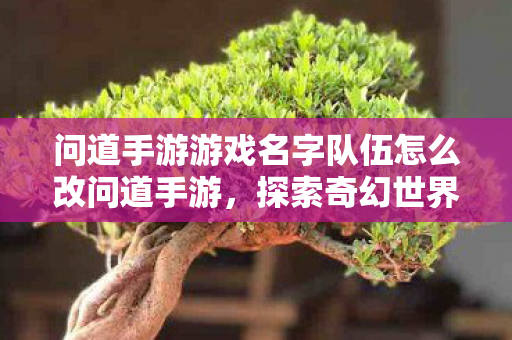 问道手游游戏名字队伍怎么改问道手游图片