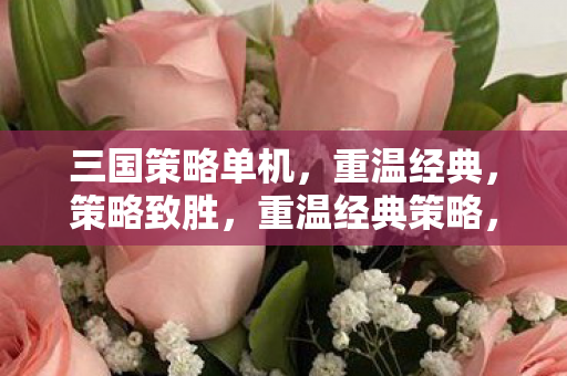 三国策略单机,重温经典,策略致胜,重温经典策略,三国单机游戏等你来战 三国策略单机,重温经典,策略致胜,重温经典策略,三国单机游戏等你来战