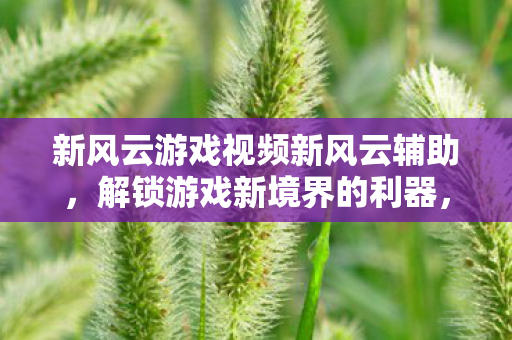 新风云游戏视频新风云辅助，解锁游戏新境界的利器，新风云辅助，解锁游戏新境界的利器