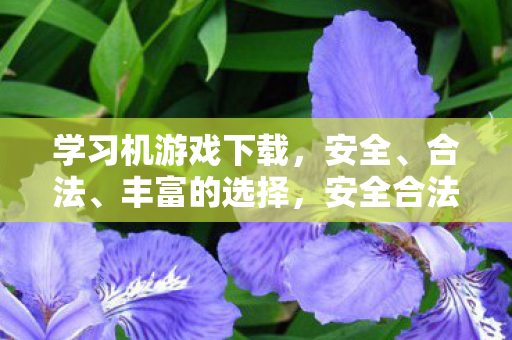 学习机游戏下载，安全、合法、丰富的选择，安全合法，丰富选择，学习机游戏下载全攻略