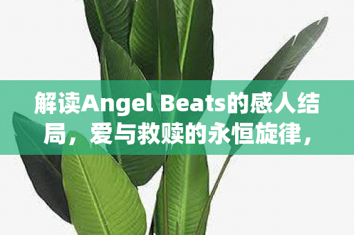 解读Angel Beats的感人结局，爱与救赎的永恒旋律，爱与救赎的永恒旋律，解读Angel Beats感人结局