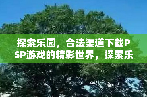 探索乐园，合法渠道下载PSP游戏的精彩世界，探索乐园，合法下载PSP游戏的精彩世界
