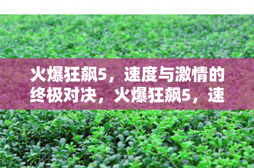火爆狂飙5，速度与激情的终极对决，火爆狂飙5，速度与激情的终极对决震撼来袭