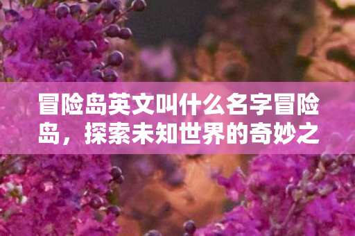 冒险岛英文叫什么名字冒险岛，探索未知世界的奇妙之旅，冒险岛，探索未知世界的奇妙之旅