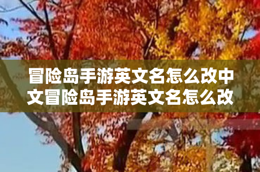冒险岛手游英文名怎么改中文冒险岛手游英文名怎么改，打造个性化游戏体验，冒险岛手游，如何修改英文名，打造个性化游戏体验
