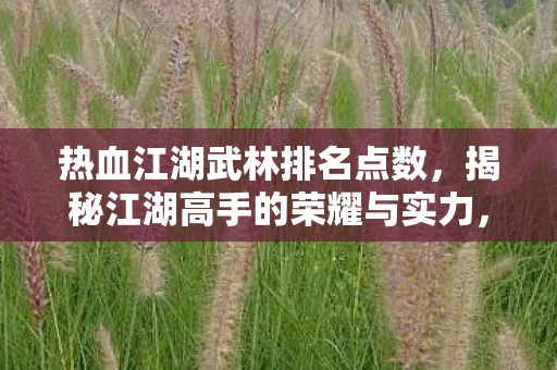 揭秘江湖高手的荣耀与实力图片