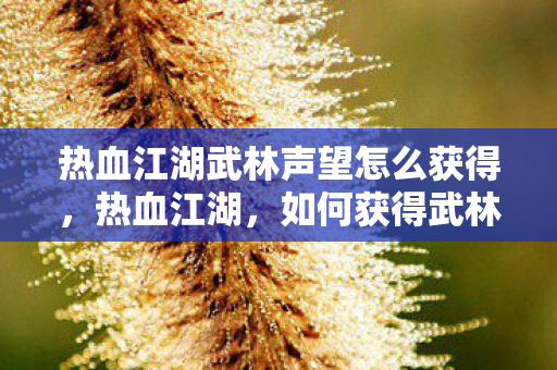 热血江湖武林声望怎么获得，热血江湖，如何获得武林声望？