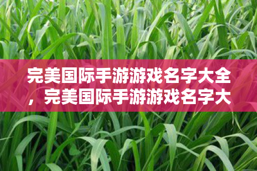 完美国际手游游戏名字大全图片