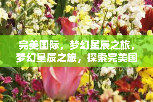 完美国际，梦幻星辰之旅，梦幻星辰之旅，探索完美国际的奇幻世界